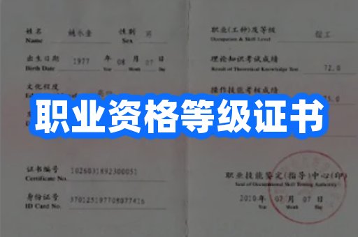 职业资格等级证书