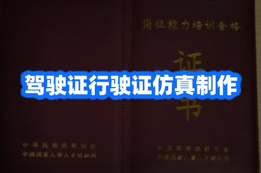 驾驶证行驶证仿真制作